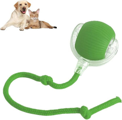 PetSyndra™ Smart Pet Ball – Interactive & Pet-Friendly