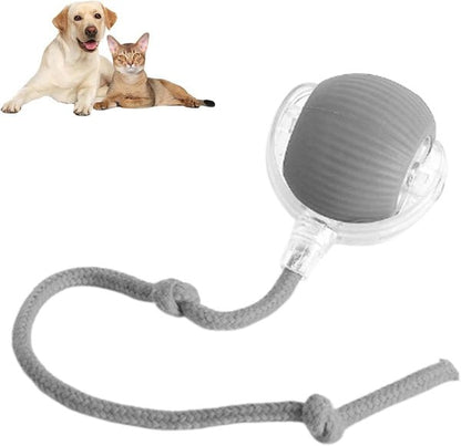 PetSyndra™ Smart Pet Ball – Interactive & Pet-Friendly