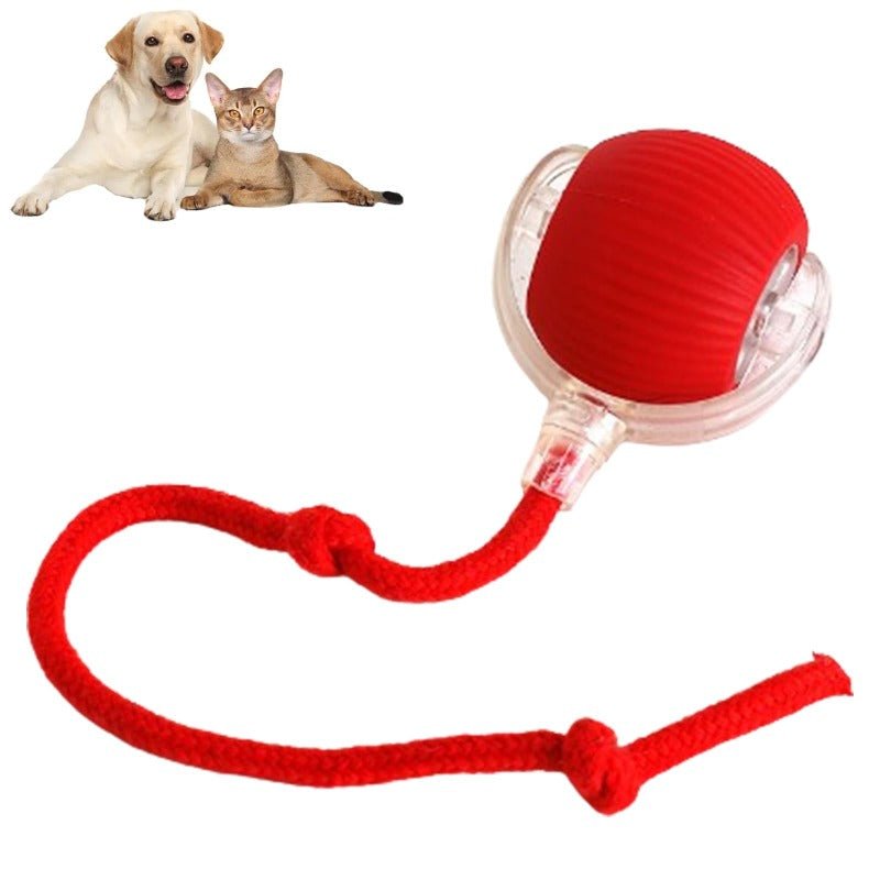 PetSyndra™ Smart Pet Ball – Interactive & Pet-Friendly
