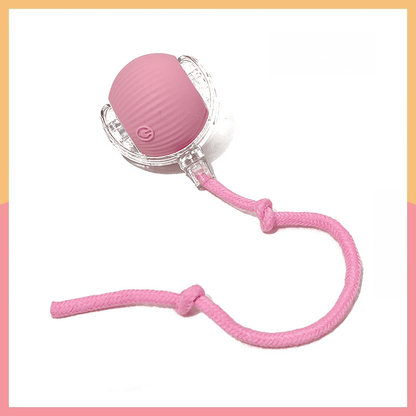 PetSyndra™ Smart Pet Ball – Interactive & Pet-Friendly