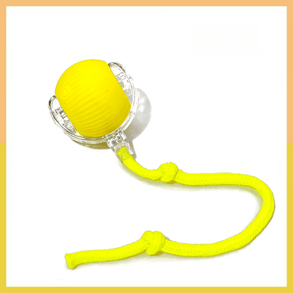 PetSyndra™ Smart Pet Ball – Interactive & Pet-Friendly